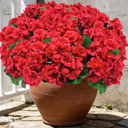 8 Bundles Artificial Geranium Flowers,… — Photo 1