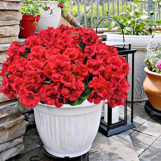 8 Bundles Artificial Geranium Flowers,… — Photo 2