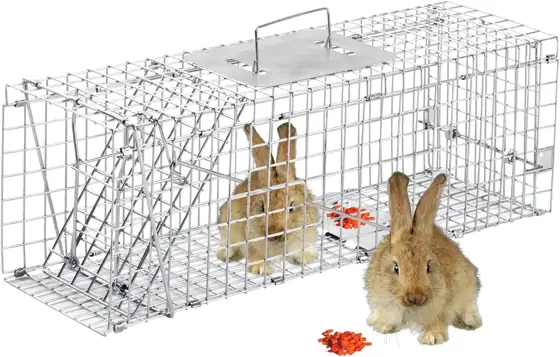 24 Inch Live Animal Traps — Photo 1