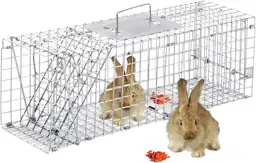 24 Inch Live Animal Traps — Photo 1