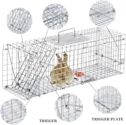 24 Inch Live Animal Traps — Photo 4