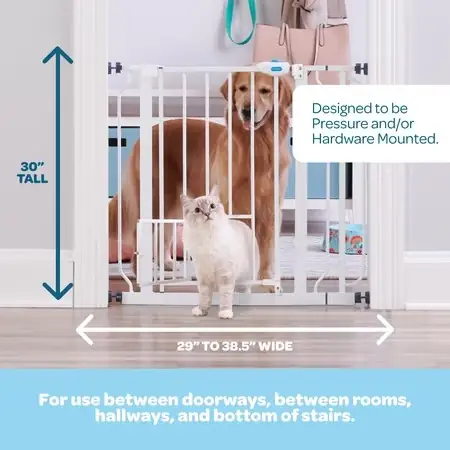 Carlson Pet Products Metal Dog… — Photo 3