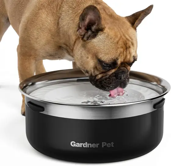 Gardner Pet Slow Water Bowl… — Photo 1