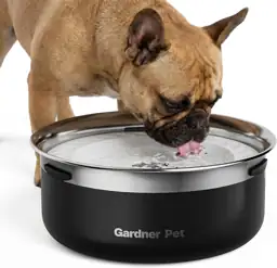 Gardner Pet Slow Water Bowl… — Photo 1